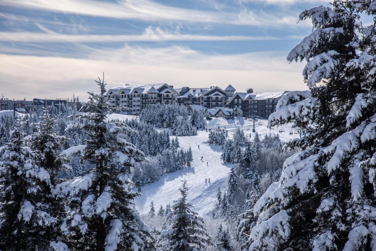Ski In/Out Snowshoe Exteriér fotografie
